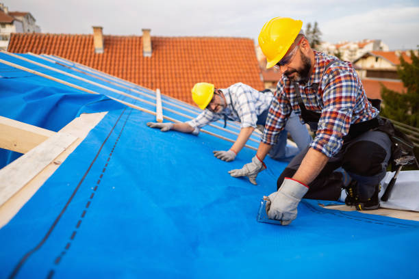 Best Roof Insulation Installation  in Martinsvle, IL